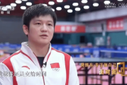 樊振东加盟德甲联赛意在洛杉矶奥运会？资深业内人士：这个可以有